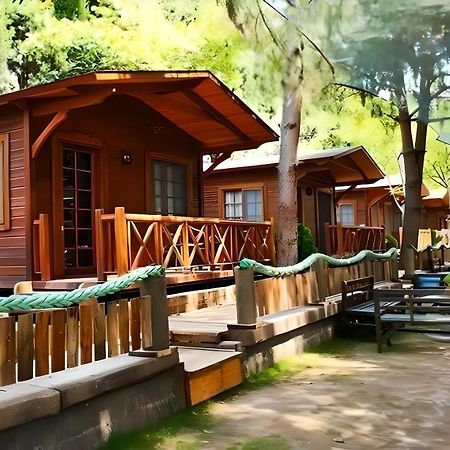 Green House Uzungol 特拉布宗 外观 照片
